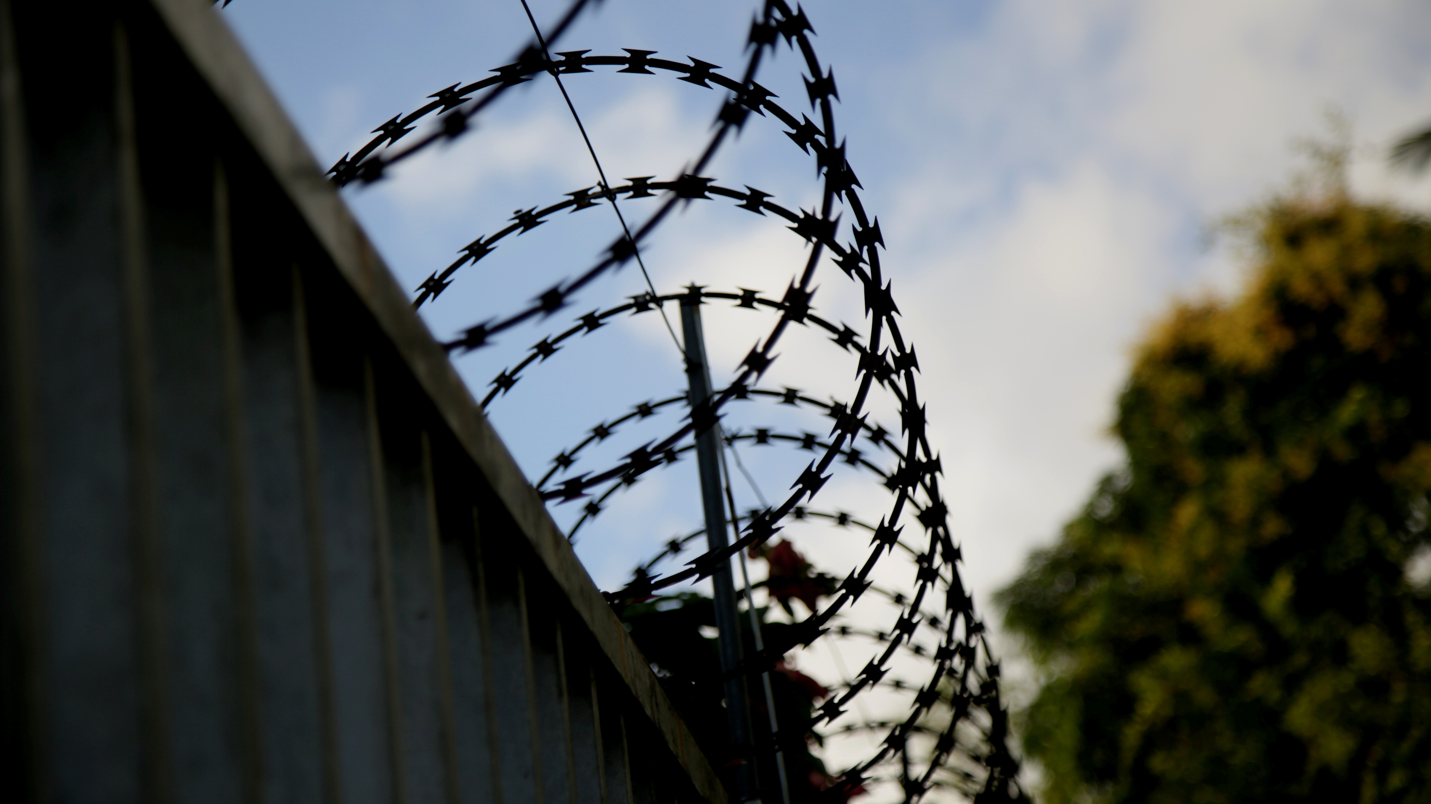 concertina barbed wire hedgehog